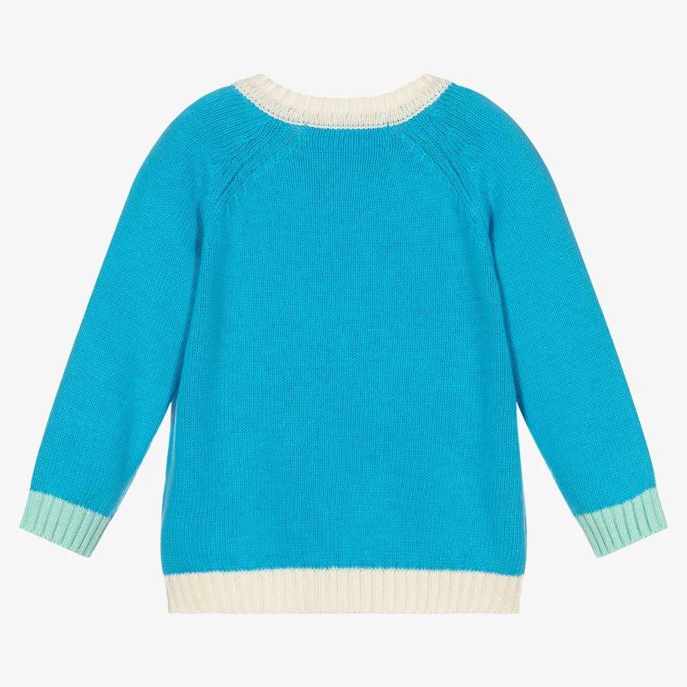 Baby Blue Cotton Sweater