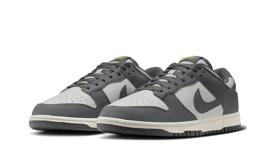 Nike Dunk Low Next Nature Iron Grey Lightning